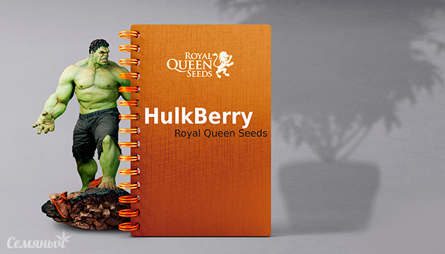 Гроурепорт сорта HulkBerry