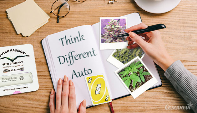 Гроурепорт сорта Think Different auto