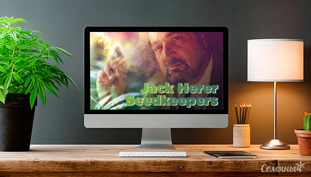Гроурепорт сорта марихуаны Jack Herer