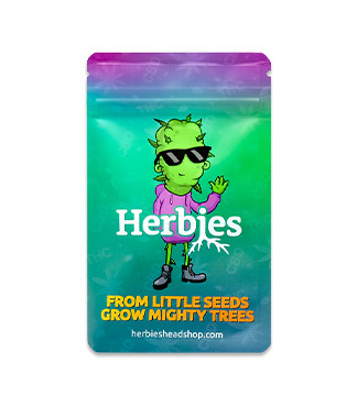 Mimosa Shot fem (Herbies Seeds)