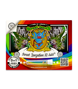 Sweet Zenzation XL Auto fem (Sweet Seeds)
